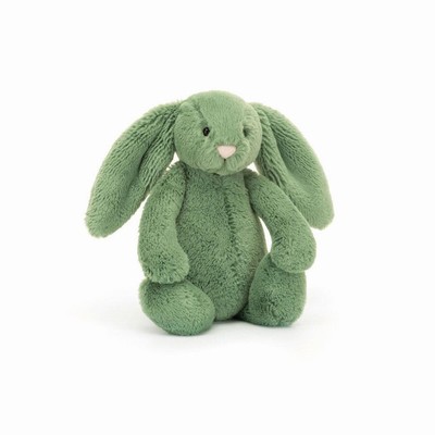 Jellycat Bashful Ivy Bunnies UK | 71653KVAD